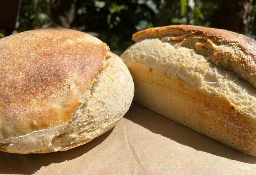 标准三人间, El Boho