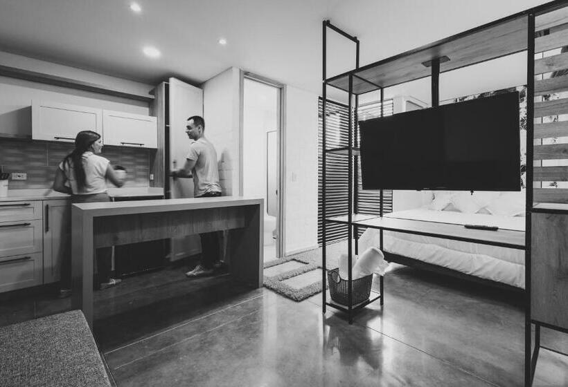 디럭스 스위트, Altio