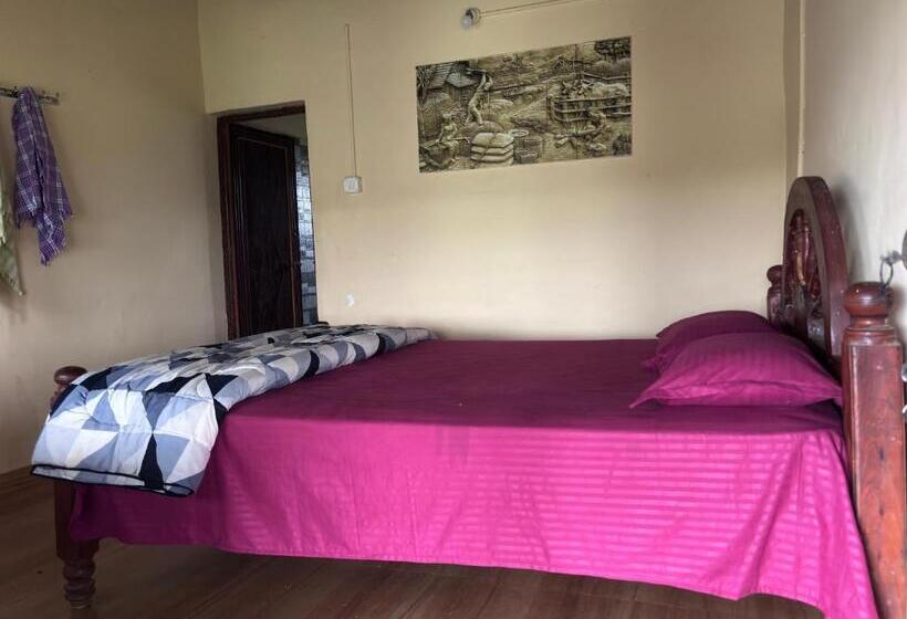 Deluxe Rum, Ivory Daze Jungle Adventure Homestay