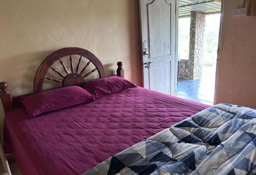 Deluxe Rum, Ivory Daze Jungle Adventure Homestay