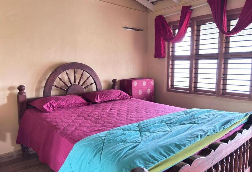 Deluxe Rum, Ivory Daze Jungle Adventure Homestay