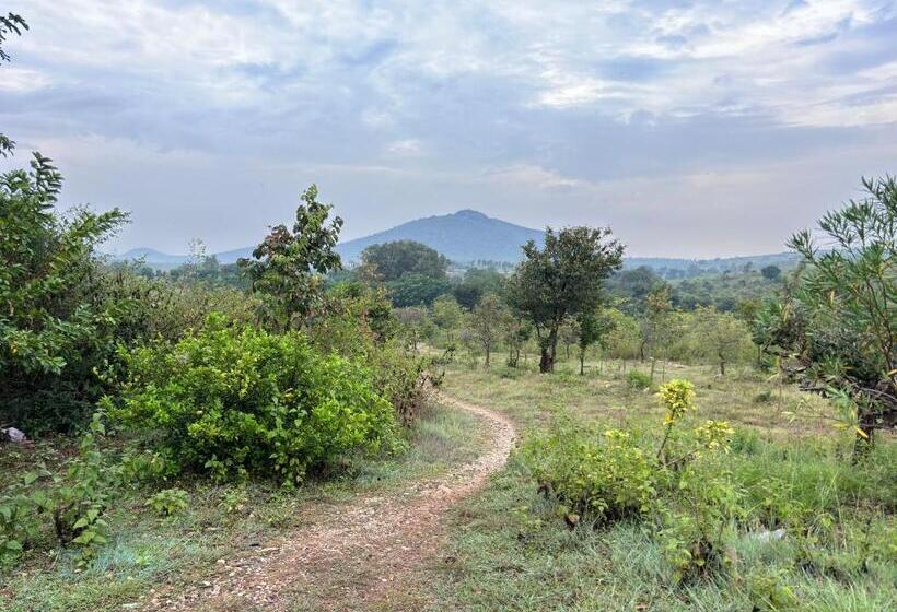 Deluxe Rum, Ivory Daze Jungle Adventure Homestay