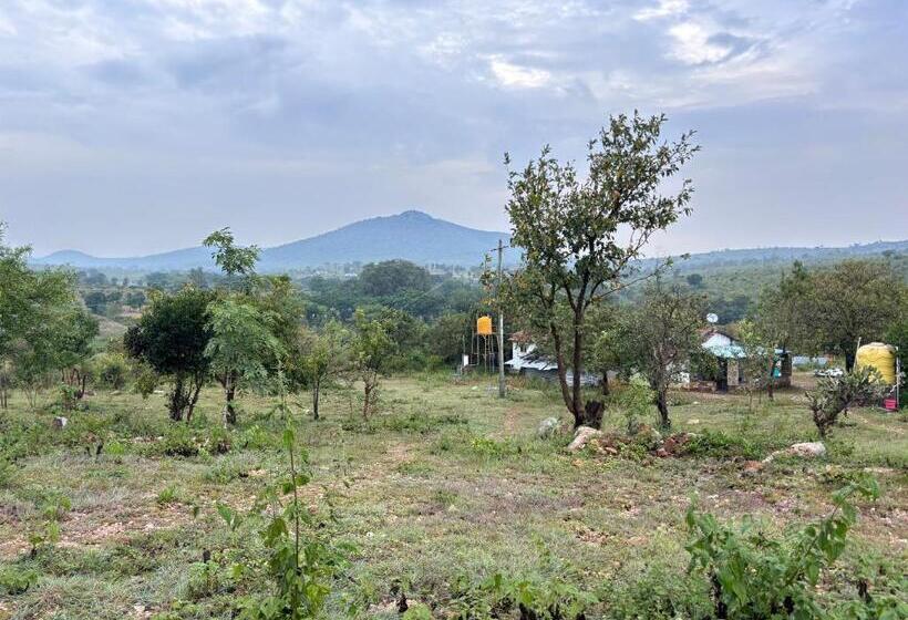 Deluxe Rum, Ivory Daze Jungle Adventure Homestay