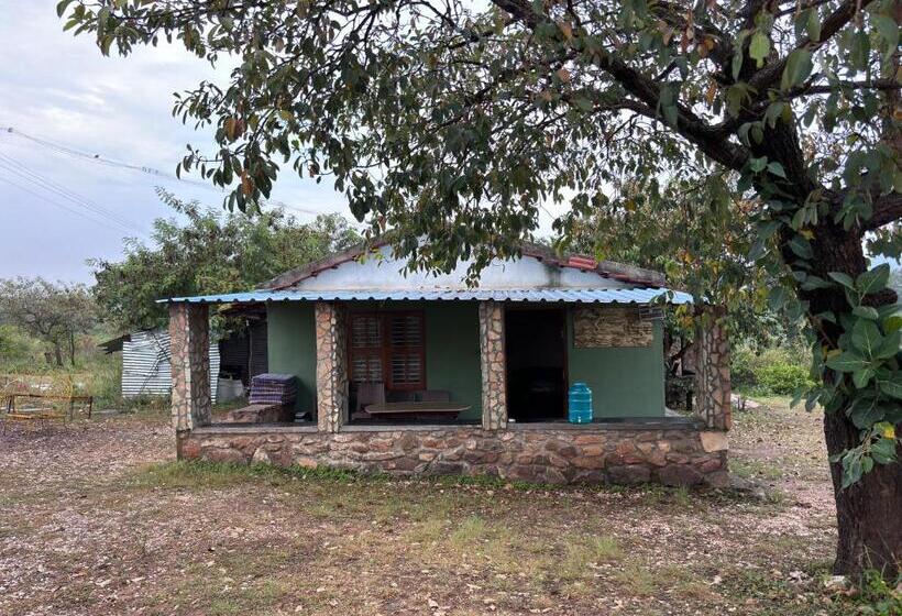 Deluxe Rum, Ivory Daze Jungle Adventure Homestay