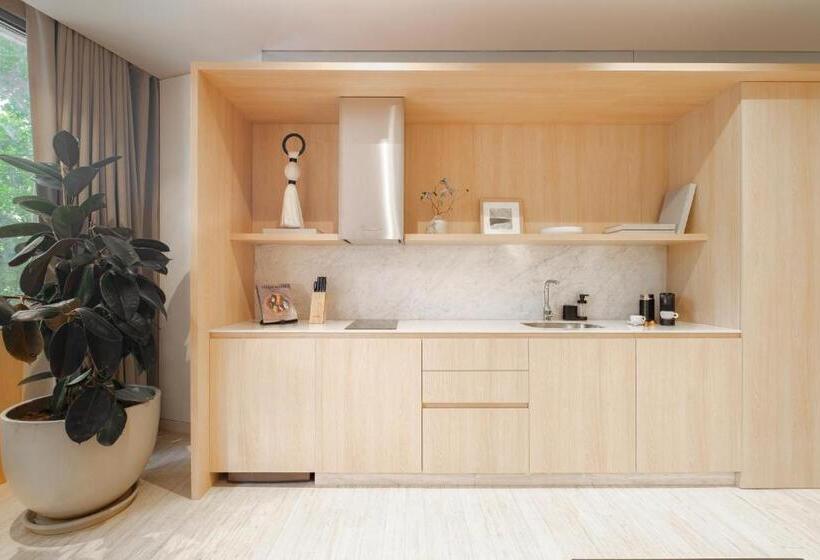 スーペリアスタジオ, Onto Tonalá Mexico City