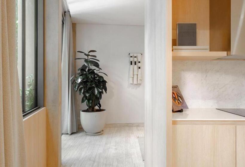 １ベッドルームアパートメント, Onto Tonalá Mexico City