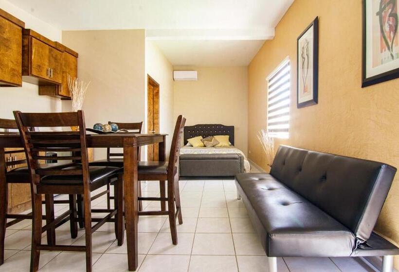 디럭스 스튜디오, Quinta San Carlos Ensenada