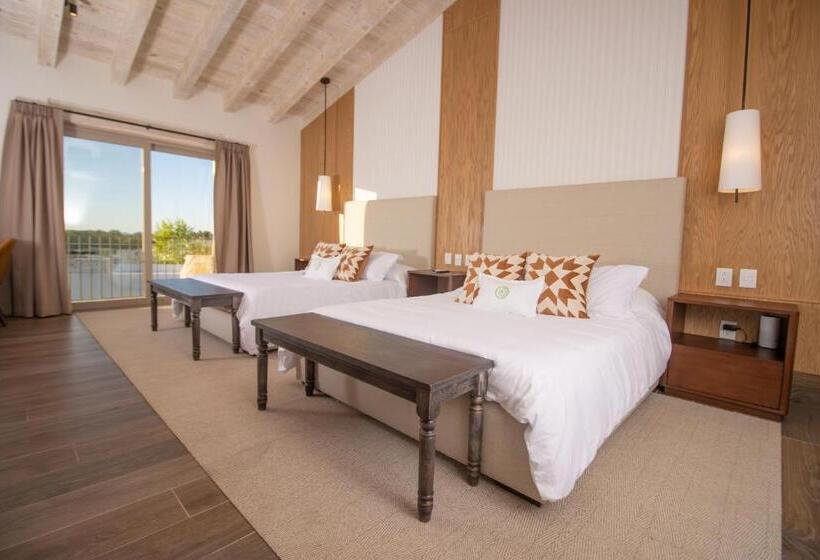 スタンダードルーム, Vinícola Parvada By Lumina