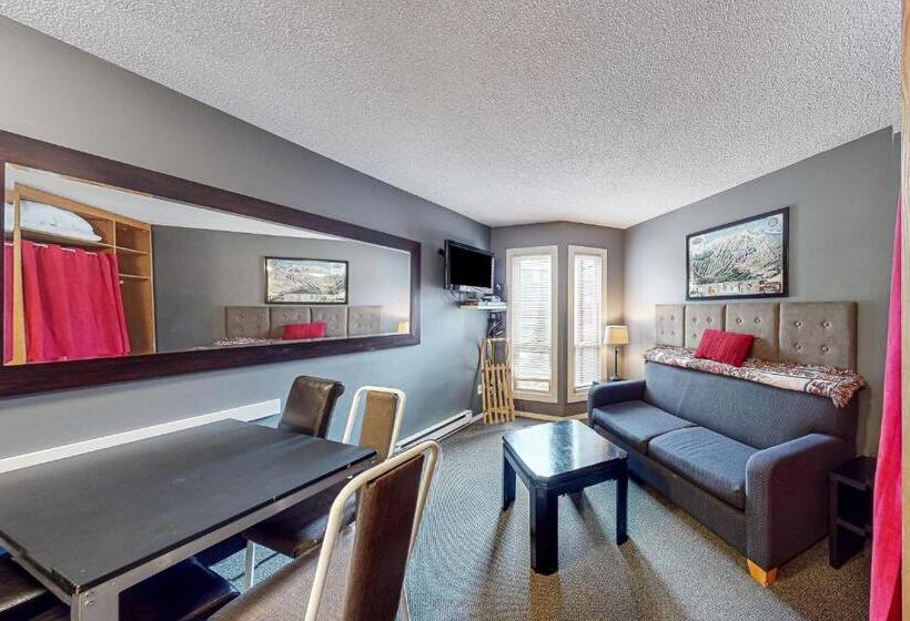 شقة غرفة واحدة, Whitefoot Lodge 342/344