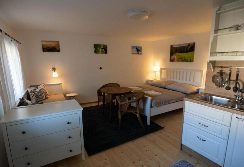 استودیو استاندارد با تخت کینگ, Penzión Záruby