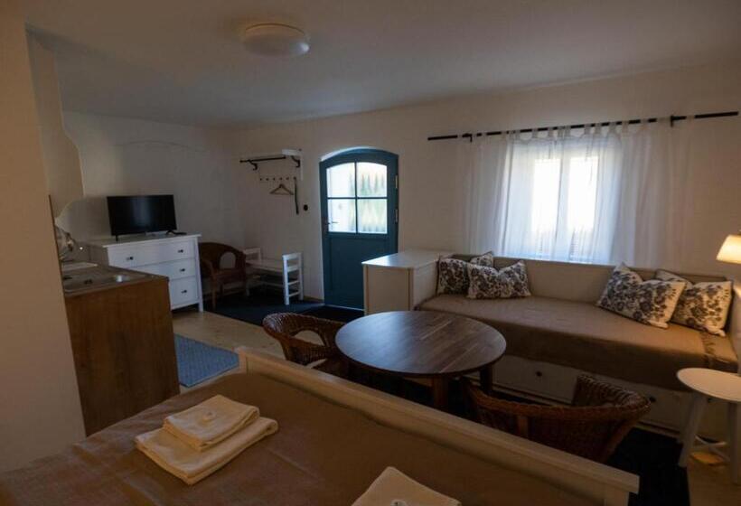 استودیو استاندارد با تخت کینگ, Penzión Záruby