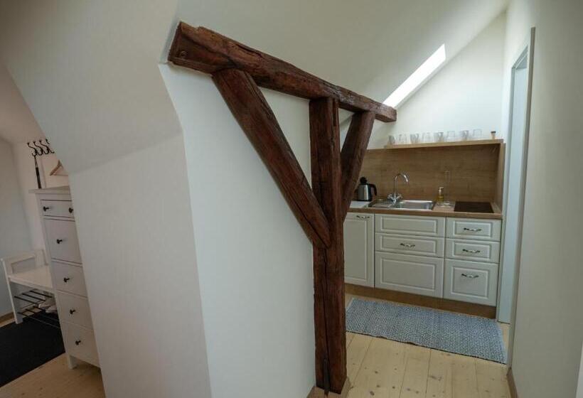 استودیو استاندارد با تخت کینگ, Penzión Záruby