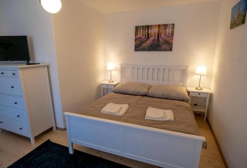 اتاق استاندارد سه تخته با سرویس بهداشتی مشترک, Penzión Záruby