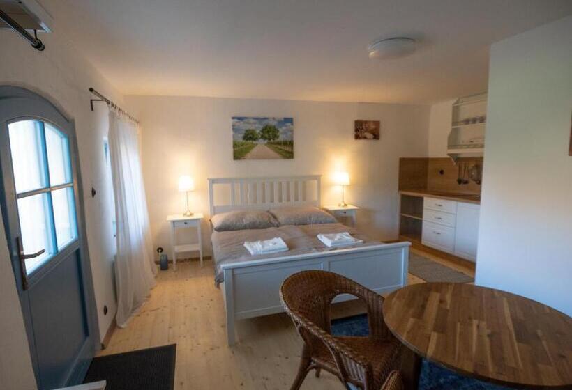 استودیو استاندارد با تخت کینگ, Penzión Záruby