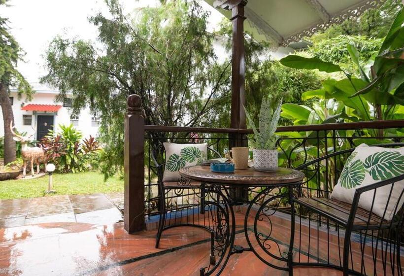 带大床的标准间, Sashas Holiday Village