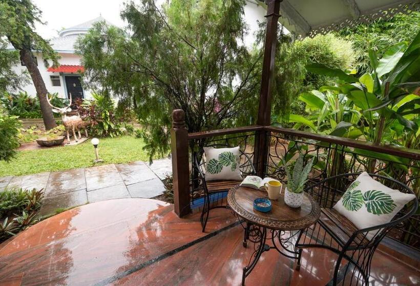 带大床的标准间, Sashas Holiday Village