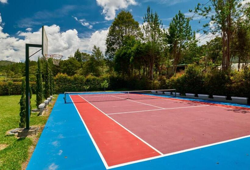 דירת חדר נוף לבריכה, Casa Hotel Fiba Magueza