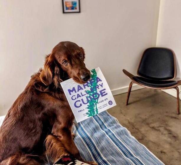 스탠다드 룸 가든 전망, Thunderbird