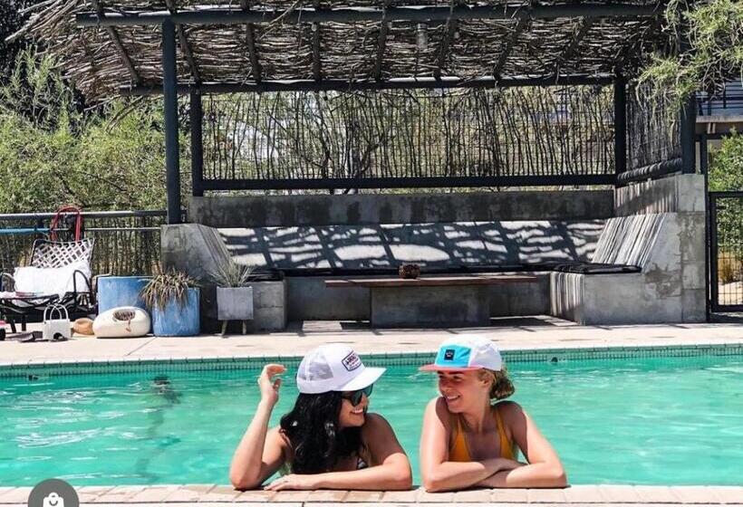 스탠다드 룸 킹사이즈 침대, Thunderbird