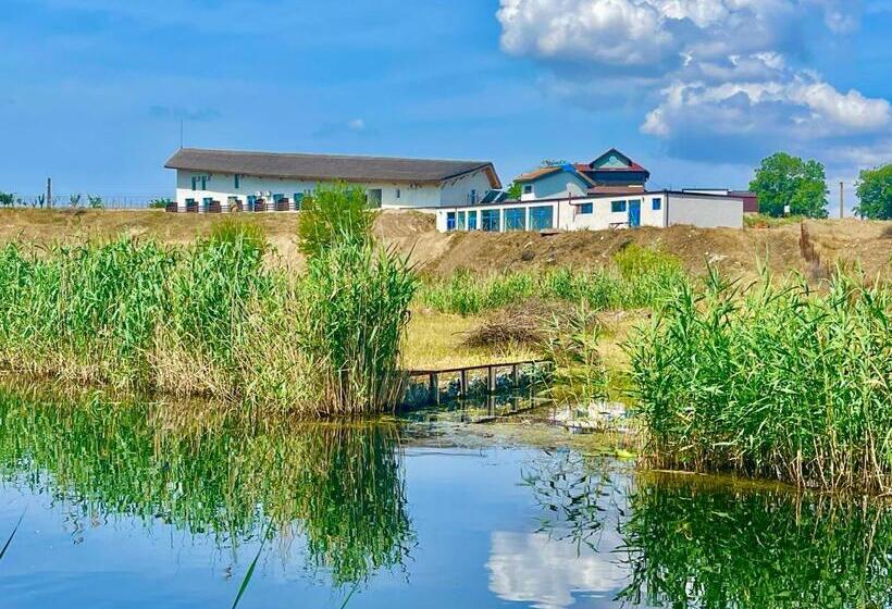 Suite Familiale, Delta View