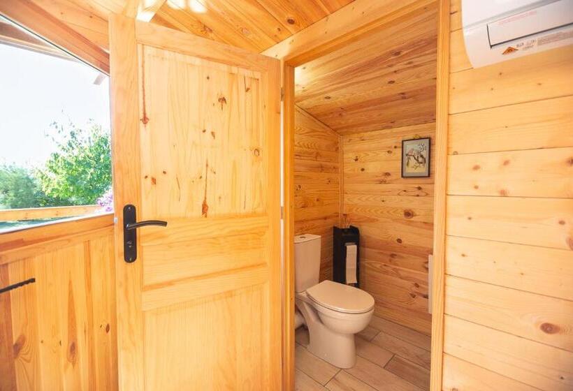 בקתת חדר, Le Sarcinoé