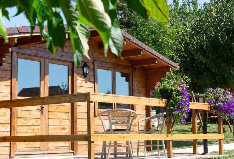 בקתת חדר, Le Sarcinoé