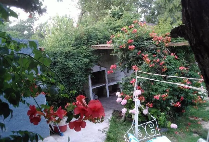 اتاق استاندارد چهارنفره با چشم‌انداز باغ, Bed And Breaksfast