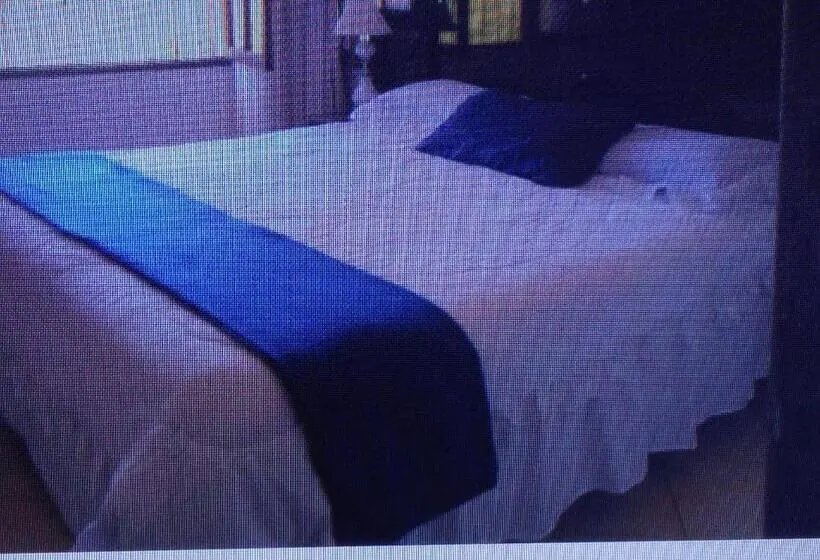 استودیوی استاندارد, Bed And Breaksfast