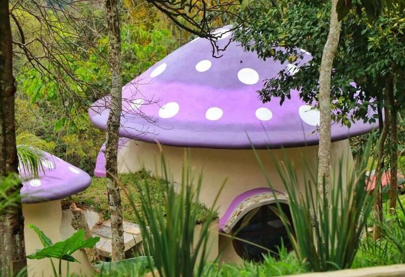 スタンダードルーム, Aldea Nanacatli