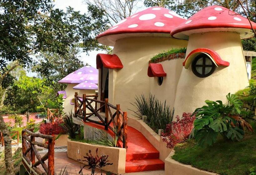 スタンダードルーム, Aldea Nanacatli