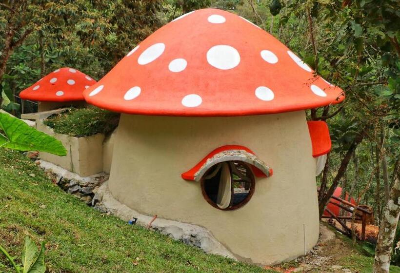 标准间, Aldea Nanacatli