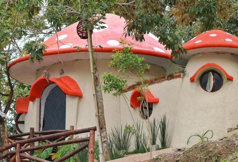 スタンダードルーム, Aldea Nanacatli