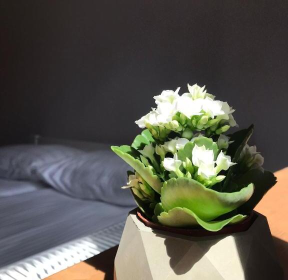 غرفة قياسية, Pensiunea Violin Panzió