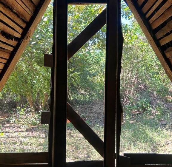 싱글 기본룸, Planta Glamp Farm