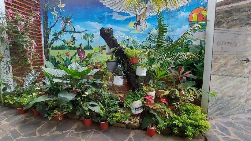 Номер Deluxe, Sol De Tulumayo