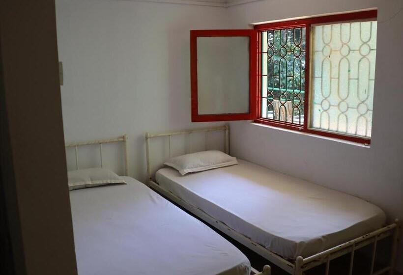 Chambre Standard, This Is It Jungle Maze Hostel