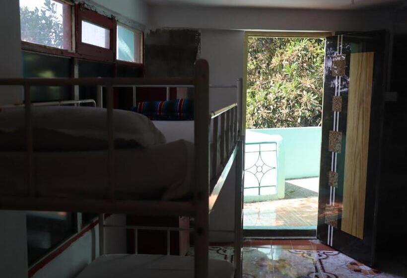 Lit en Chambre Commune, This Is It Jungle Maze Hostel