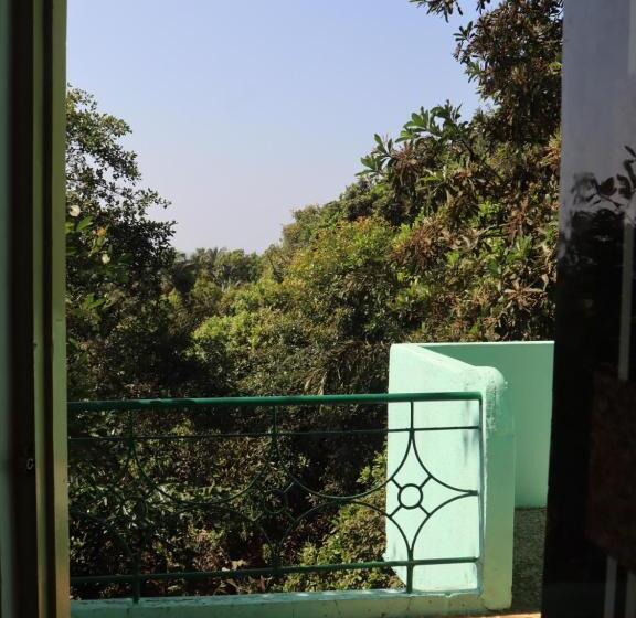 Lit en Chambre Commune, This Is It Jungle Maze Hostel