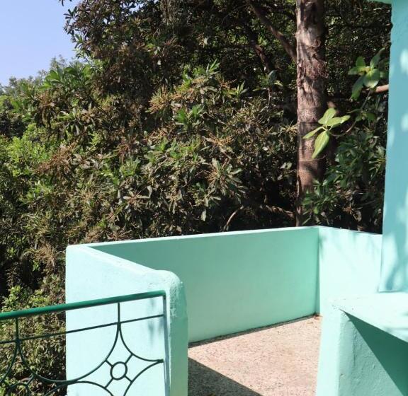 Lit en Chambre Commune, This Is It Jungle Maze Hostel