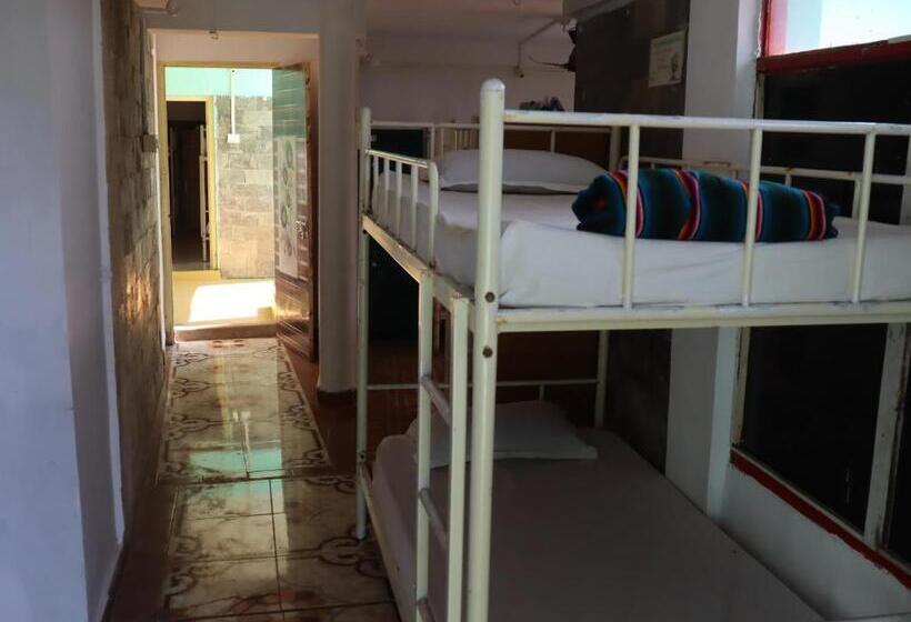 Lit en Chambre Commune, This Is It Jungle Maze Hostel