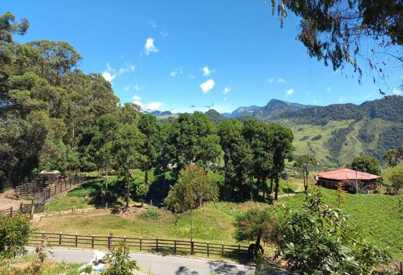 Люкс Повышенной Комфортности, Los Ocobos Libano   Hostal Y Restaurante