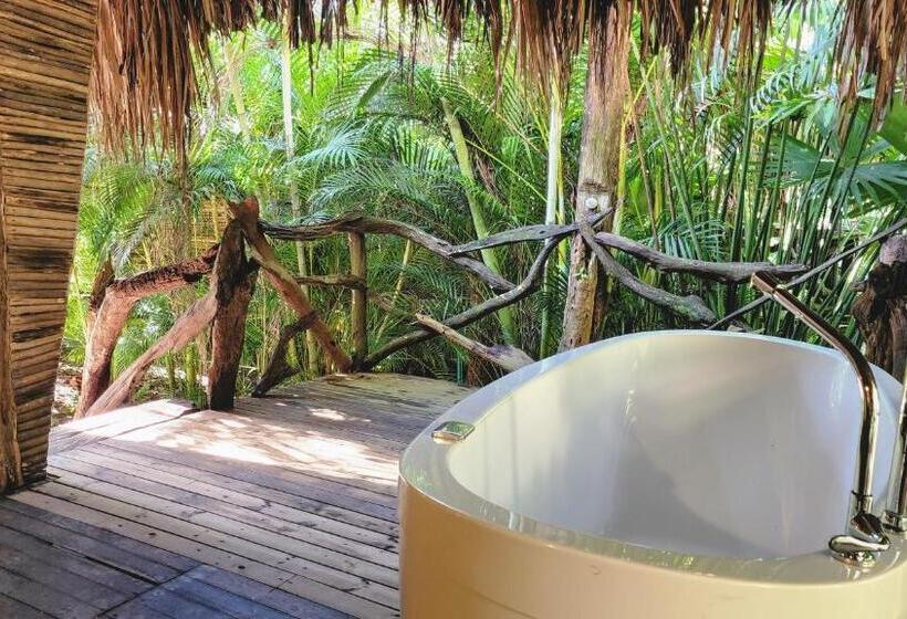 豪华房间, Nátural Eco