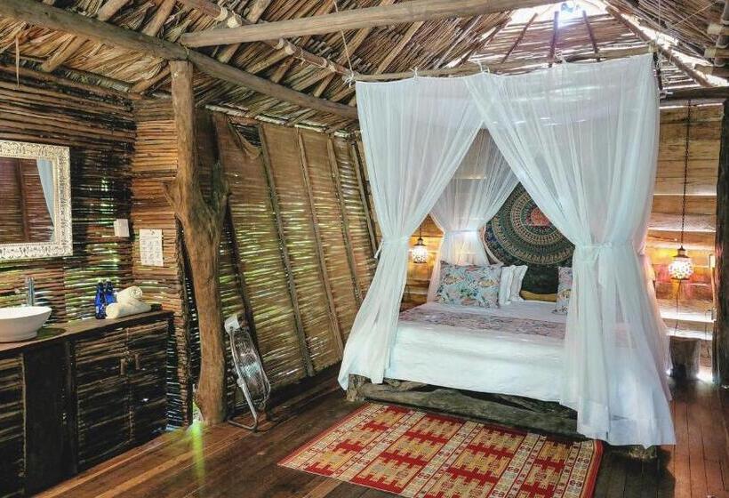 豪华房间, Nátural Eco