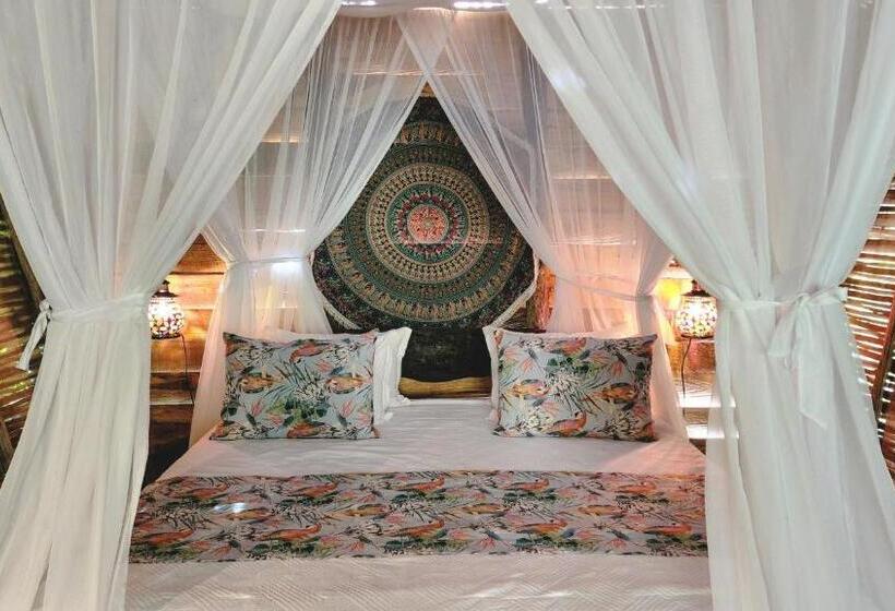 豪华房间, Nátural Eco