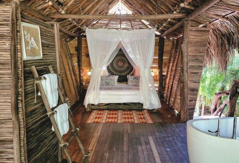 豪华房间, Nátural Eco