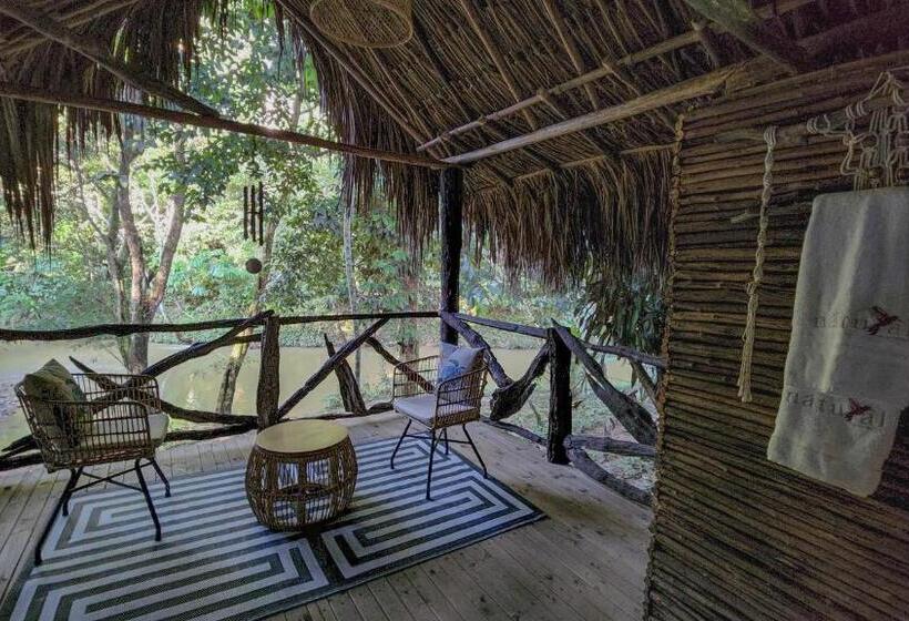 带大床的标准间, Nátural Eco