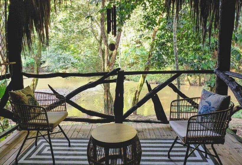 带大床的标准间, Nátural Eco