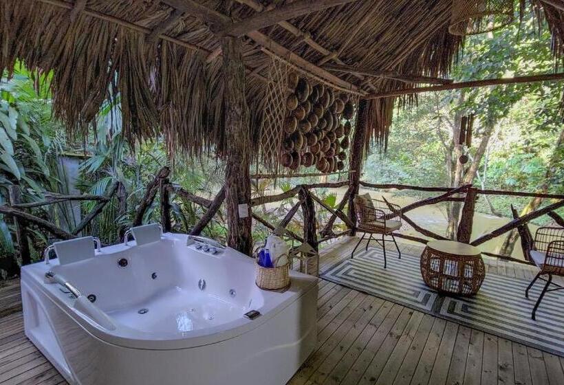 带大床的标准间, Nátural Eco