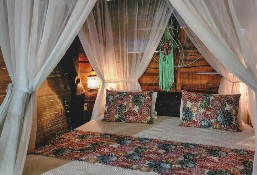 带大床的标准间, Nátural Eco