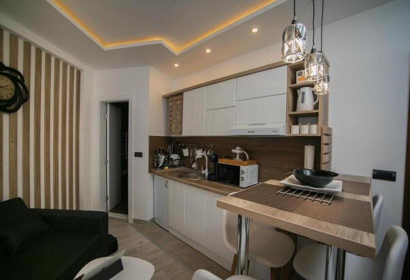 استودیوی استاندارد, Milmari Minart S40